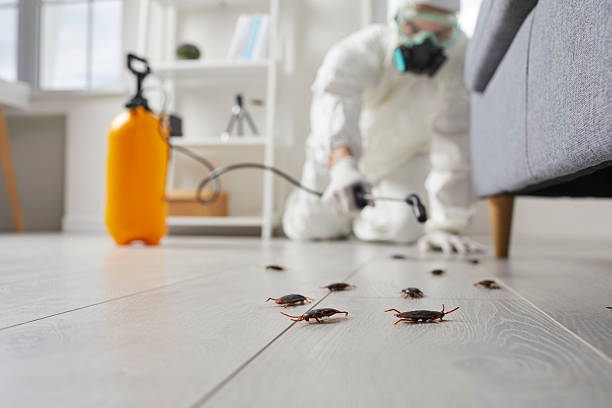 Commercial Kitchen Cockroach Control in Social Circle